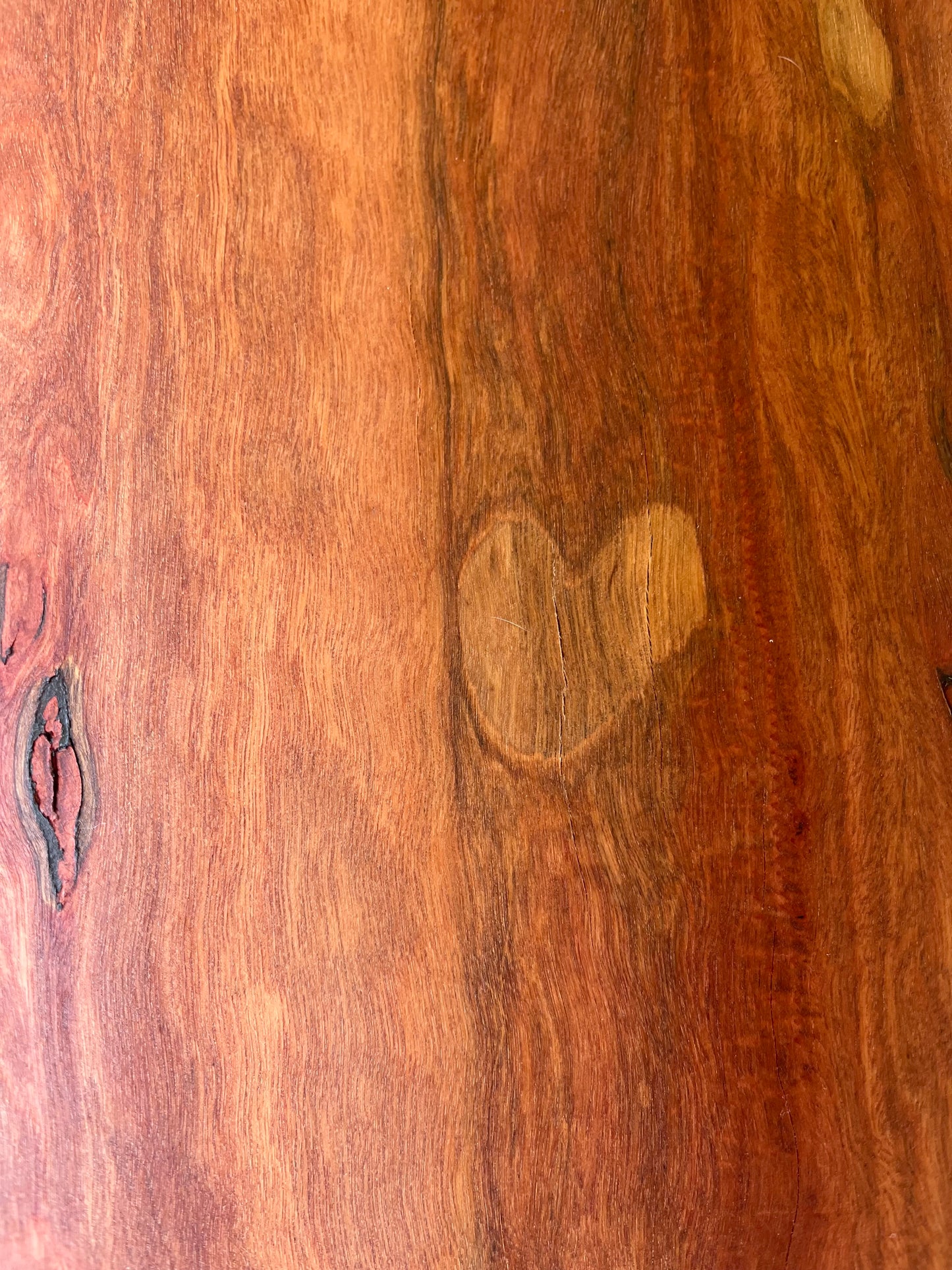 XL Ironbark Coolamon