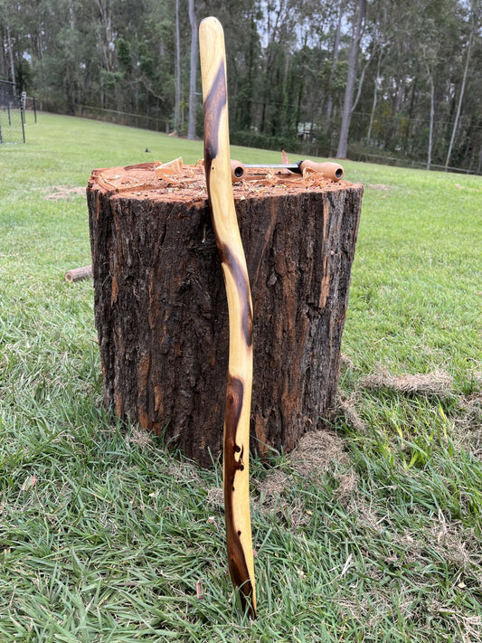 Digging Stick