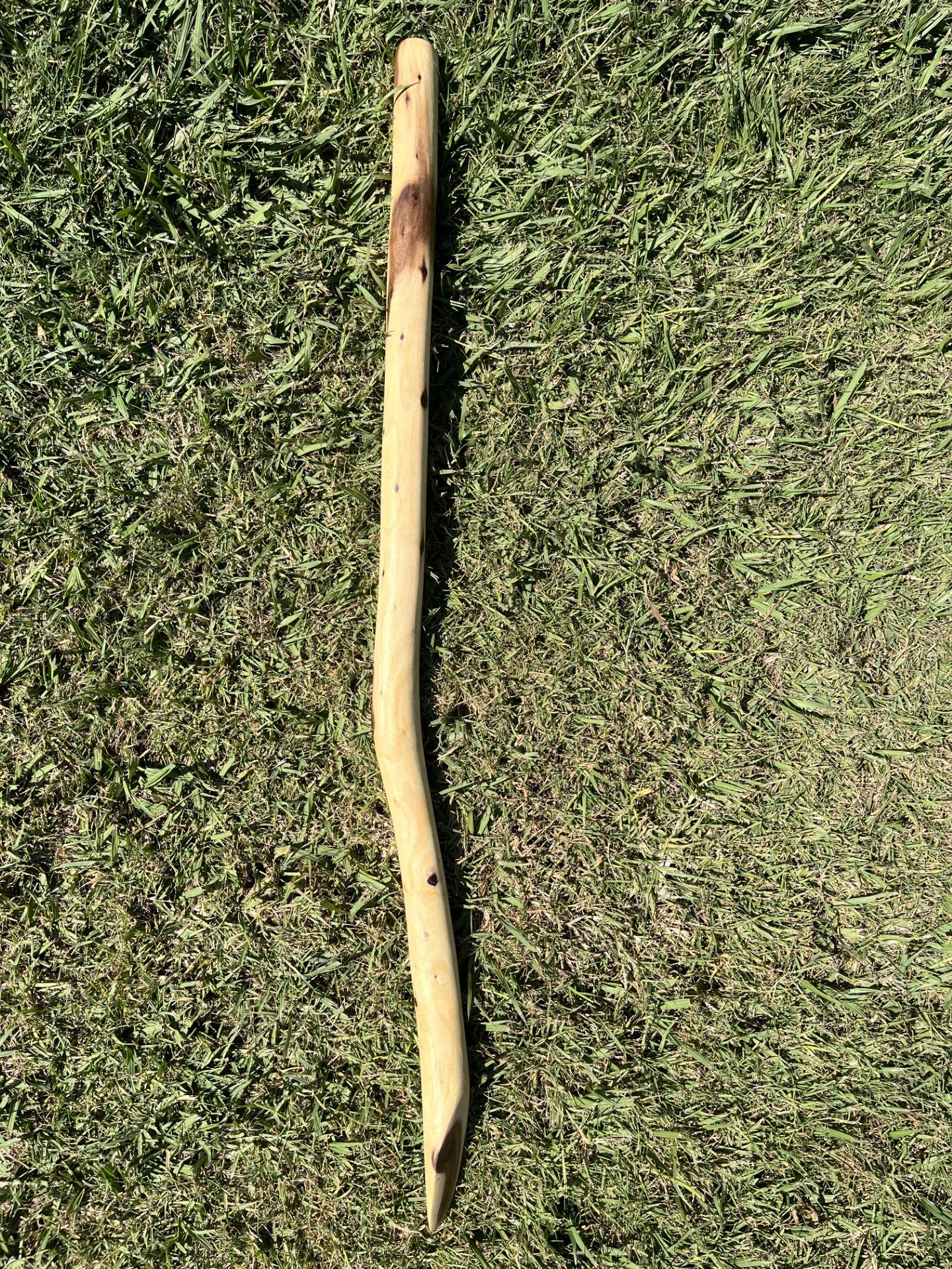 Digging Stick