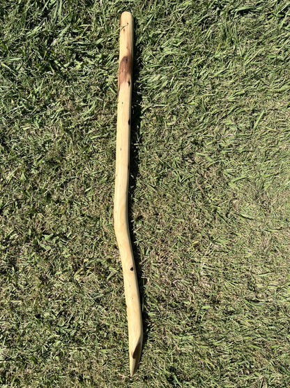 Digging Stick