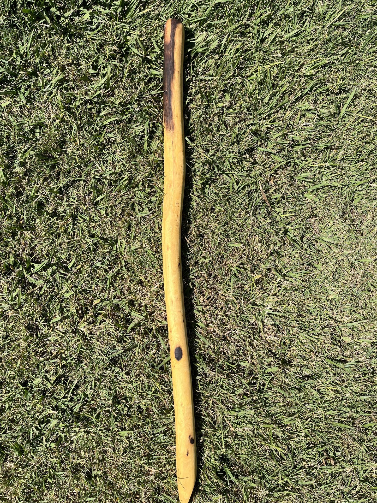Digging Stick