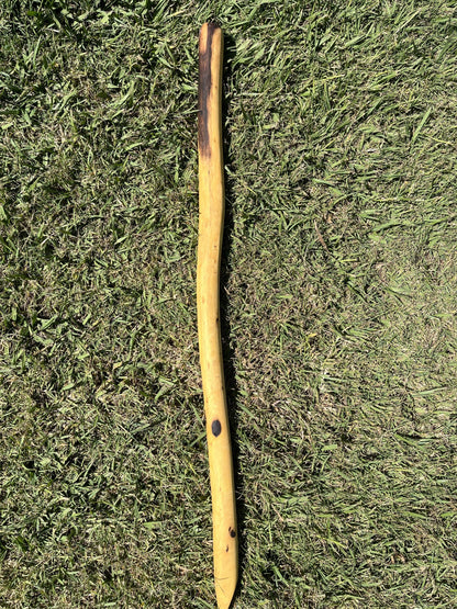 Digging Stick